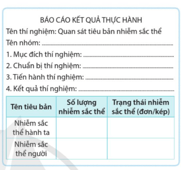 Hoàn thành phiếu báo cáo kết quả thực hành