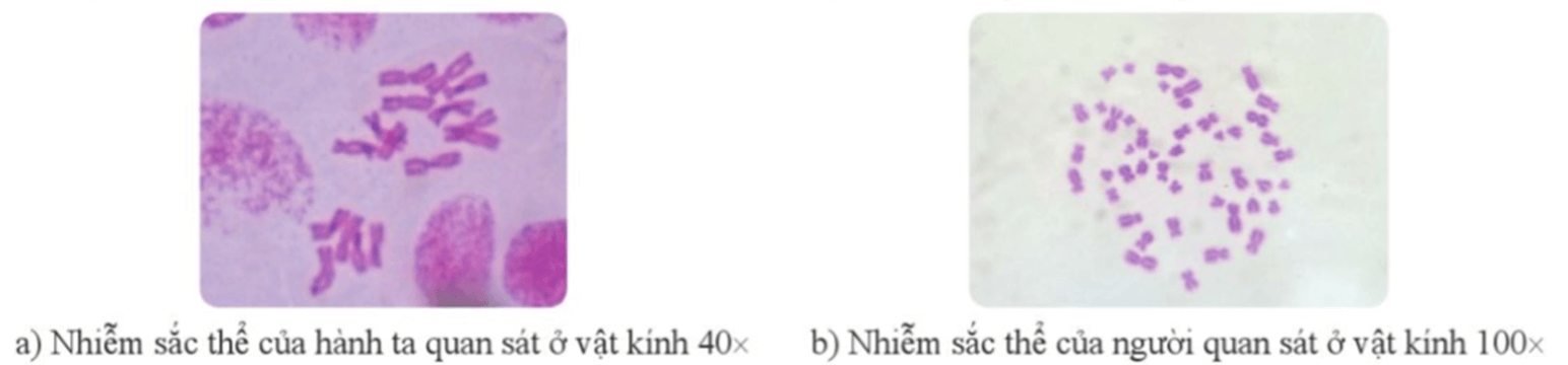 Hoàn thành phiếu báo cáo kết quả thực hành