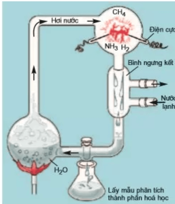 Năm 1953, Stanley Miller và Harold Urey đã thực hiện thí nghiệm chứng minh sự hình thành hợp chất hữu cơ