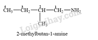 Giải SGK Hóa 12 Bài 6 (Chân trời sáng tạo): Amine (ảnh 9)