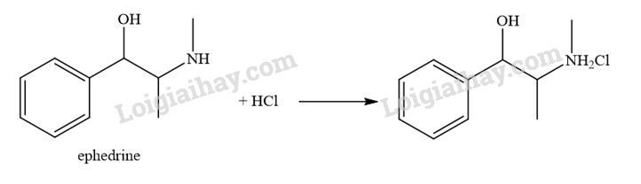 Giải SGK Hóa 12 Bài 6 (Chân trời sáng tạo): Amine (ảnh 12)