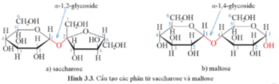 Giải Hóa 12 Bài 3 (Cánh diều): Giới thiệu về carbohydrate (ảnh 1)