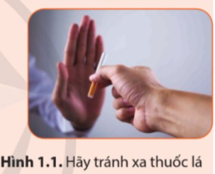 Giải Vật lí 12 Bài 1 (Cánh diều): Mô hình động học phân tử chất khí (ảnh 1)