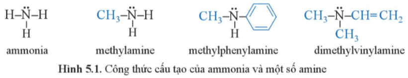 Giải Hóa 12 Bài 5 (Cánh diều): Amine  (ảnh 1)