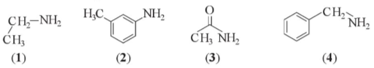 Giải Hóa 12 Bài 5 (Cánh diều): Amine  (ảnh 1)