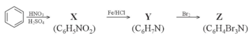 Giải Hóa 12 Bài 5 (Cánh diều): Amine  (ảnh 1)