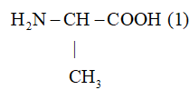 Giải Hóa 12 Bài 6 (Cánh diều): Amino  (ảnh 1)