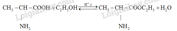 Giải Hóa 12 Bài 6 (Cánh diều): Amino  (ảnh 1)