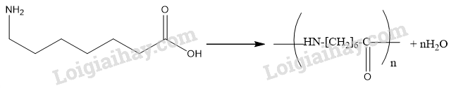 Giải Hóa 12 Bài 6 (Cánh diều): Amino  (ảnh 1)