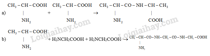 Giải Hóa 12 Bài 7 (Cánh diều): Peptide, protein và enzyme  (ảnh 1)