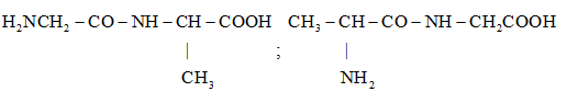 Giải Hóa 12 Bài 7 (Cánh diều): Peptide, protein và enzyme  (ảnh 1)