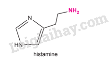 Giải SGK Hóa 12 Bài 6 (Chân trời sáng tạo): Amine (ảnh 1)