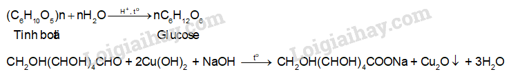 Giải SGK Hóa 12 Bài 5 (Chân trời sáng tạo): Tinh bột và cellulose (ảnh 4)