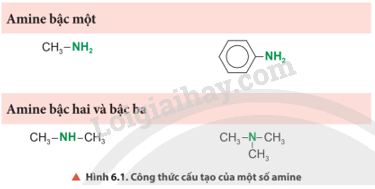 Giải SGK Hóa 12 Bài 6 (Chân trời sáng tạo): Amine (ảnh 2)