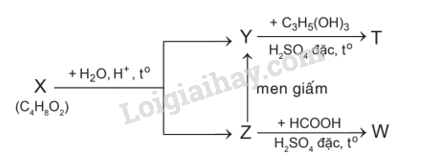 Giải SGK Hóa 12 Bài 1 (Chân trời sáng tạo): Ester – Lipid (ảnh 9)