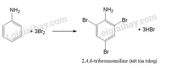 Giải SGK Hóa 12 Bài 6 (Chân trời sáng tạo): Amine (ảnh 6)