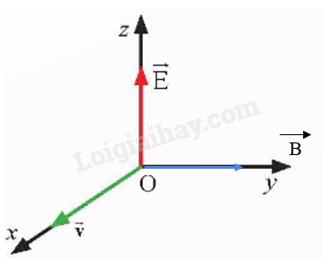 Giải SGK Vật Lí 12 Bài 12 (Chân trời sáng tạo): Hiện tượng cảm ứng điện từ (ảnh 3)