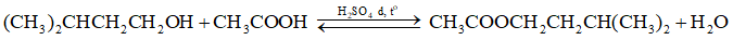 Giải SGK Hóa 12 (Kết nối tri thức) Bài 1: Ester - Lipid - Ảnh 1