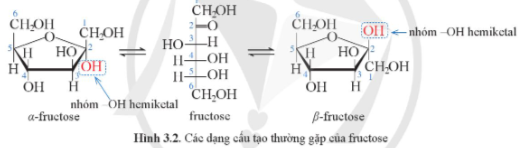 Giải Hóa 12 Bài 3 (Cánh diều): Giới thiệu về carbohydrate (ảnh 1)