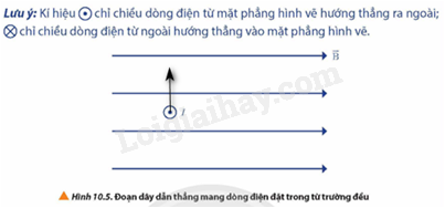 Giải SGK Vật Lí 12 Bài 10 (Chân trời sáng tạo): Lực từ. Cảm ứng từ (ảnh 3)