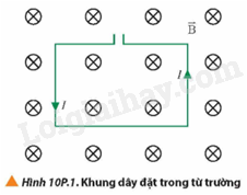 Giải SGK Vật Lí 12 Bài 10 (Chân trời sáng tạo): Lực từ. Cảm ứng từ (ảnh 5)