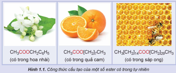 Tài liệu VietJack