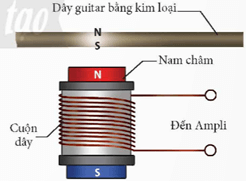 Trong Hình 18.4 khi gảy dây đàn 3 thì nó dao động Khi đó từ trường của đoạn dây