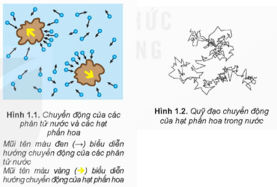 Tài liệu VietJack