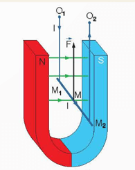 Thí nghiệm Chuẩn bị Thiết bị thí nghiệm gồm Hộp gỗ có gắn các thiết bị