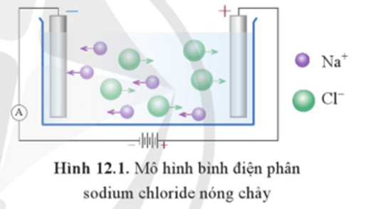 Hình 12.1 mô tả sự chuyển động của các ion về các điện cực trong bình điện phân