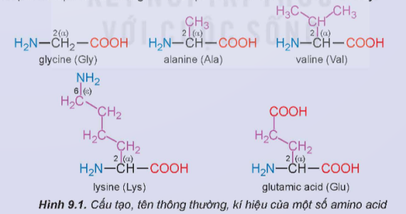 Tài liệu VietJack