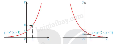 Lý thuyết Hàm số mũ và hàm số lôgarit (Kết nối tri thức 2024) hay, chi tiết | Toán lớp 11 (ảnh 1)