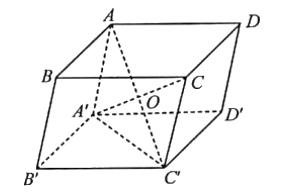 Cho hình hộp ABCD.A'B'C'D' có AC' và A'C cắt nhau tại O. Cho biết AO = a