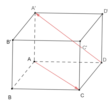 Cho hình lập phương ABCD.A'B'C'D'. Góc giữa hai vectơ AC, vectơ DA' bằng