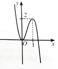 Đồ thị hàm số y = 4x^3 – 6x^2 + 1 là đường cong nào trong các đường cong sau?